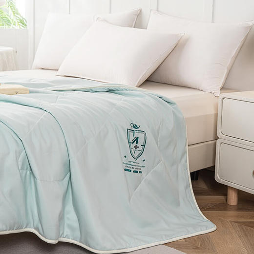 多喜爱（Dohia）A类超柔抗菌夏被-贝尔斯 商品图3