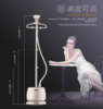 莱克（LEXY）莱克挂烫机家用蒸汽电熨斗服装店商用大功率熨烫熨衣服  GT306 商品缩略图0