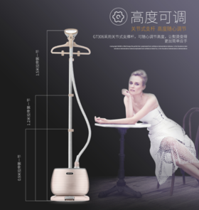 莱克（LEXY）莱克挂烫机家用蒸汽电熨斗服装店商用大功率熨烫熨衣服  GT306