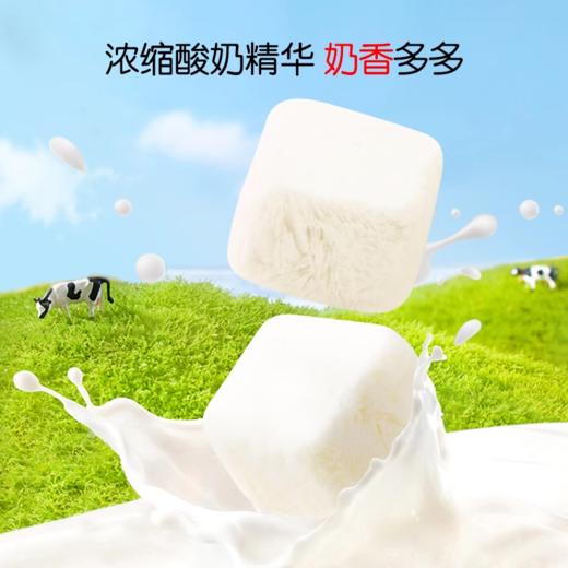 伊威益生菌奶酪 酸奶块 三角奶酪块 商品图5