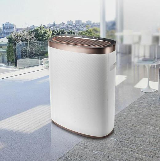 莱克（LEXY）甲醛净化型 空气净化器灰色  KJ505 商品图0