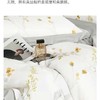 宜居生活极光天丝夏凉被标准200*230cm/床 商品缩略图0