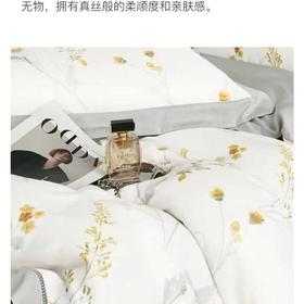 宜居生活极光天丝夏凉被标准200*230cm/床