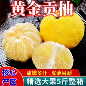 【岩垅特产！黄金贡柚9斤更值】柠檬的香 柚子的甜 甘甜爽口 脆嫩多汁 色泽金黄 湖南清香脆甜 果肉细嫩