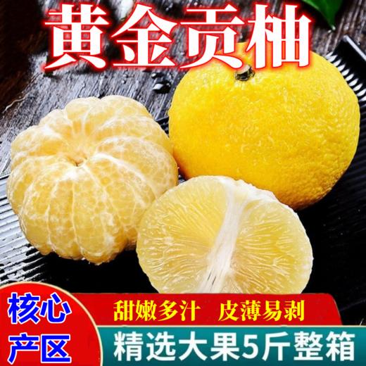 【岩垅特产！黄金贡柚9斤更值】柠檬的香 柚子的甜 甘甜爽口 脆嫩多汁 色泽金黄 湖南清香脆甜 果肉细嫩 商品图0