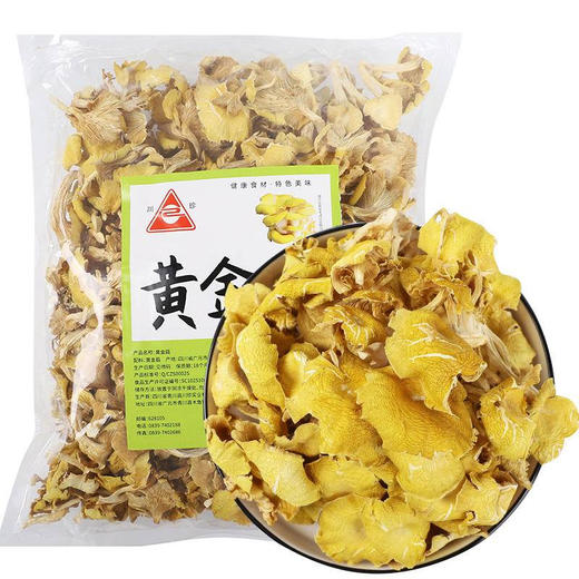 【干菌子】 青川县黄金菇500g干菌子食堂干菜菌菇类干锅食堂采购 商品图0