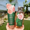 【两件组合】BATH & BODY WORKS 玫瑰身体乳/沐浴露！美国代购，无中文标签，介意慎拍! H 商品缩略图0