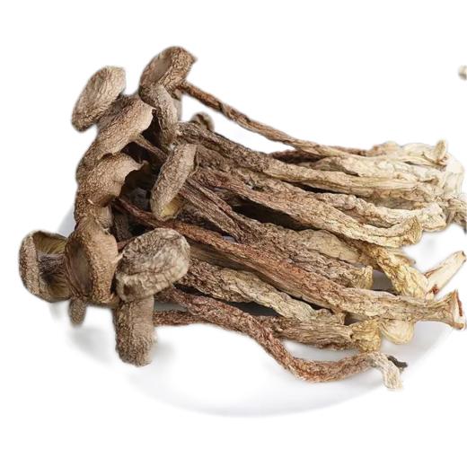 【登真缘】鹿茸菇100g/瓶 商品图4