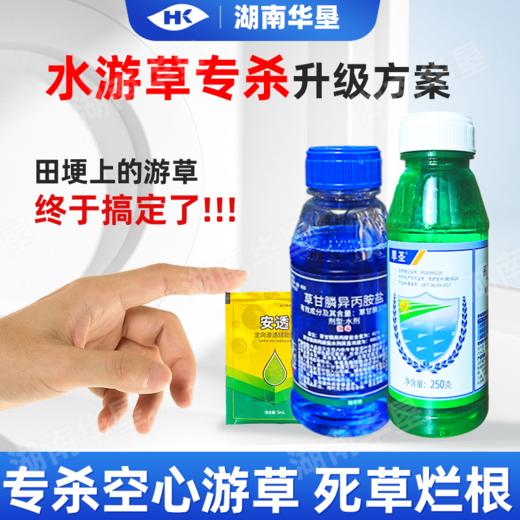 水游草专杀方案高效氟吡甲禾灵稻李氏禾草甘膦游草芦苇茅草除草剂 商品图4