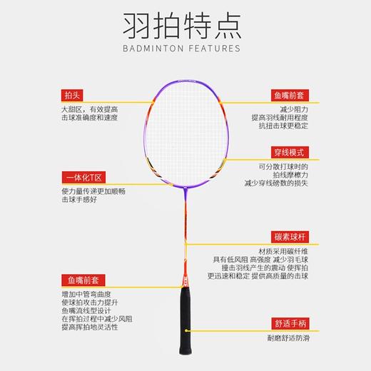 何大屋（Hodtown）羽毛球拍  狮慕羽毛球拍HDW1311 商品图2