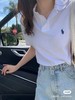 升级索罗娜面料拉夫家POLO衫 商品缩略图7