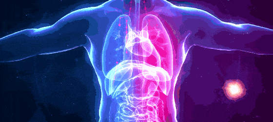  70年老树，15年陈化，1片值千金，明清两朝贡品，一喝赶走喉咙不适！！ 