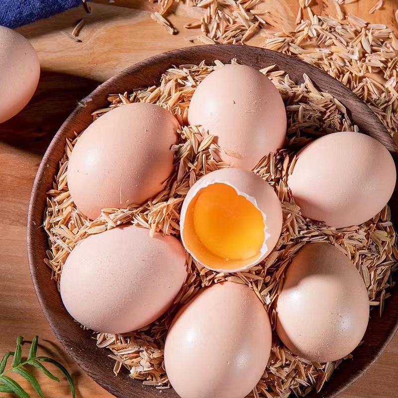 九华山散养土鸡蛋、生态农家散养、更新鲜、更好吃、更营养