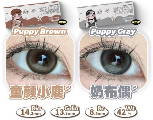 Toffee 童颜小鹿/奶布偶 10片/盒（日抛型） 商品图0