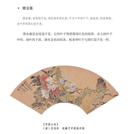 《宋人花谱九种》 商品图12