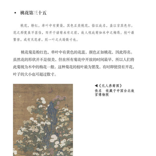 《宋人花谱九种》 商品图10