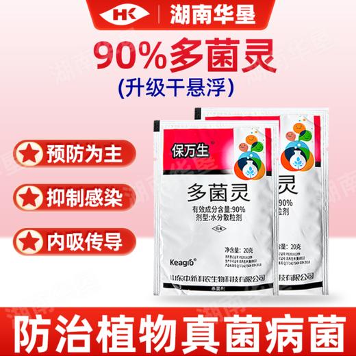 多菌灵水分散粒剂多灵菌菌核病油菜专用杀菌剂干悬浮防治真菌病菌 商品图1
