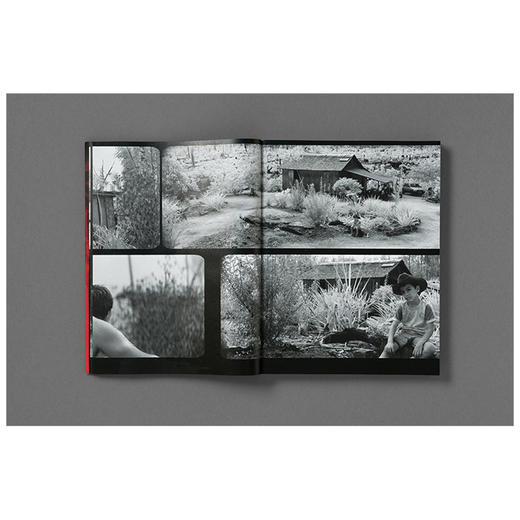 【现货】Richard Mosse：Broken Spectre | 破碎的河 摄影集 商品图3
