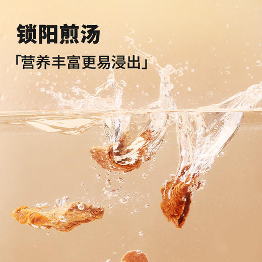 【正宗同仁堂品牌】北京同仁堂锁阳150克 内蒙古锁严选 拒绝熏硫 SY 商品图1