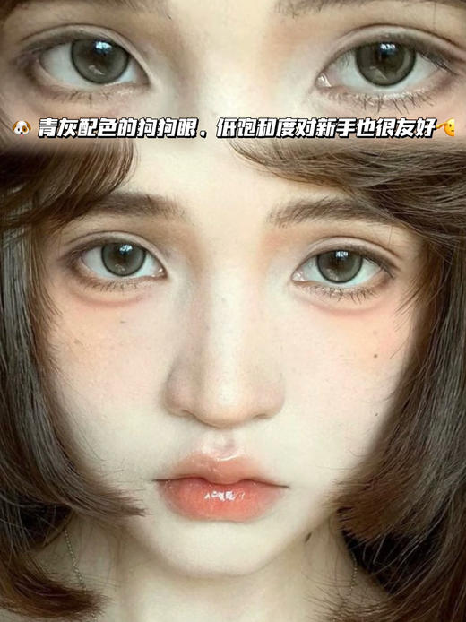 PUPPY GRAY 比熊狗狗眼奶油灰 「含硅水凝胶」半年抛型 250/425/450/1000度缺，其他度数货全！ 商品图0