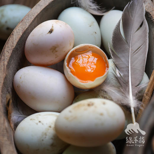 生态鸭蛋（湖北） | 合作生产*Eco-duck egg | Coproduction 商品图1