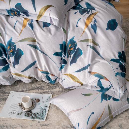 【麦上家居】全棉印花-瑞秋四件套MS 商品图4