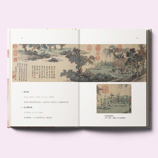 《宋人花谱九种》 商品图2