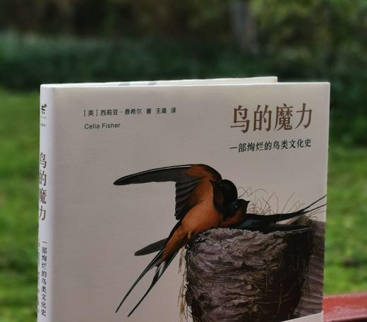 《鸟的魔力：一部绚烂的鸟类文化史》，大16开精装，[英]西莉亚.费希尔著，北京联合出版公司2019年版，定价108，售价35. 商品图1