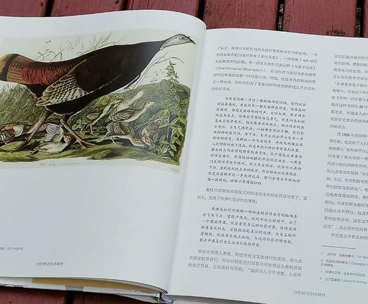 《鸟的魔力：一部绚烂的鸟类文化史》，大16开精装，[英]西莉亚.费希尔著，北京联合出版公司2019年版，定价108，售价35. 商品图13