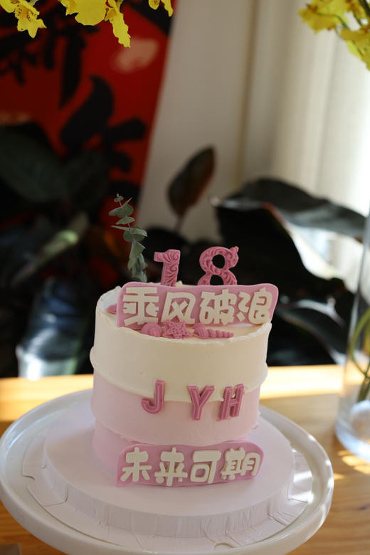 乘风破浪的18岁 商品图3