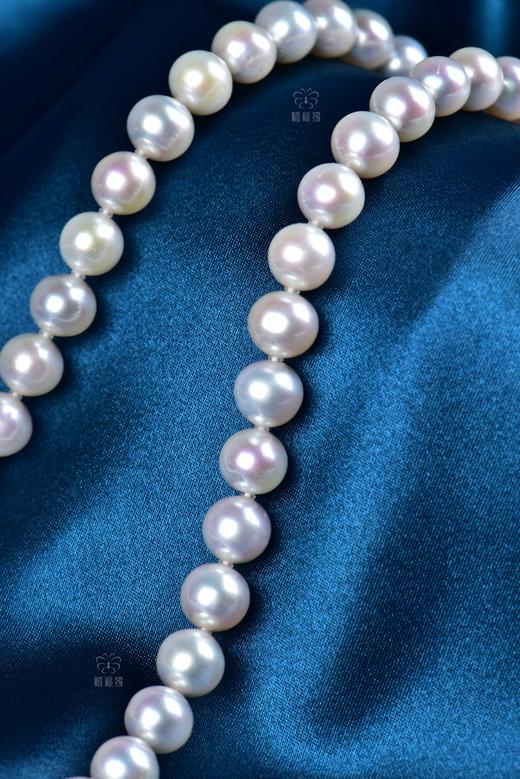 【芳华】淡水Akoya珍珠项链-ZZ240307601 商品图1