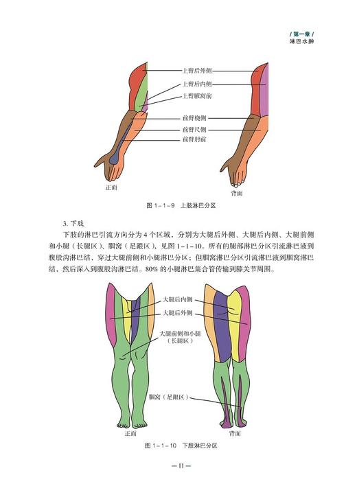 慢性水肿与创面治疗和康复 韩杰 罗蔓 等编 慢性水肿与创面典型案例评估处理治疗康复临床实践 科学技术文献出版社9787523511527 商品图4