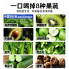【热辣滚烫液体沙拉】中国农科院研发果蔬液体沙拉 商品缩略图5