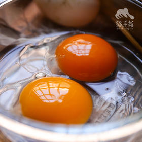 生态鸭蛋（湖北） | 合作生产*Eco-duck egg | Coproduction