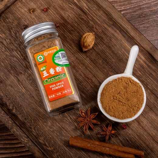 有机五香粉  45g/瓶 商品图3