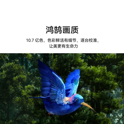 （最高减600元）华为Vision智慧屏 SE3  （赠品：华为智慧屏 AI摄像头 黑色） 商品图2