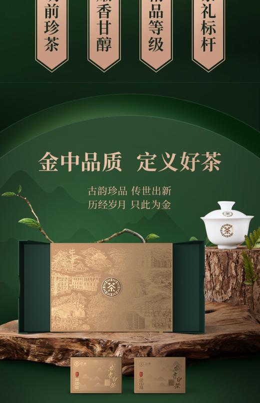 中茶绿茶 2024年新茶明前春茶金中茶安吉白茶72g礼盒装茶叶送礼 商品图1