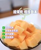 海南高甜哈密瓜！【海沙蜜瓜】肉厚细质 香甜清脆 皮薄肉厚 汁水丰富 一口爽脆 层次丰富 商品缩略图1