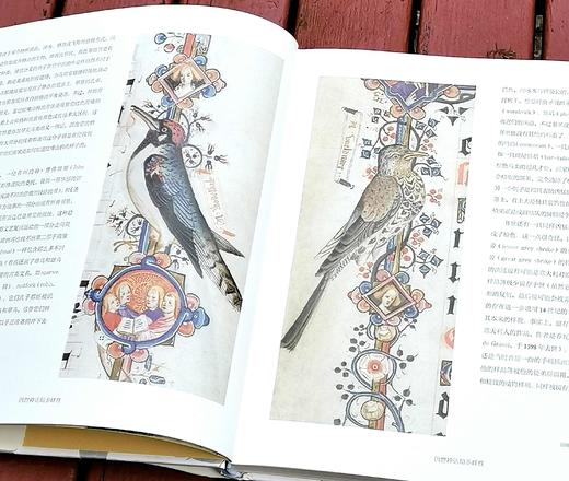 《鸟的魔力：一部绚烂的鸟类文化史》，大16开精装，[英]西莉亚.费希尔著，北京联合出版公司2019年版，定价108，售价35. 商品图6