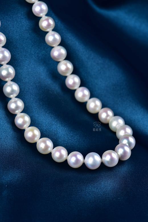【芳华】淡水Akoya珍珠项链-ZZ240307601 商品图4