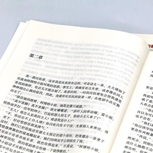 简·爱（初中语文配套阅读·新版） 附赠学习手册 商品图5