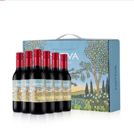 【6瓶装】智利娜缇瓦精选佳美娜干红葡萄酒187.5ml *6 商品图0