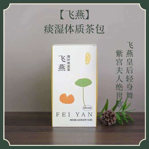 万物本草 体质茶包 惊鸿 飞燕  荷叶陈皮山楂 商品图2