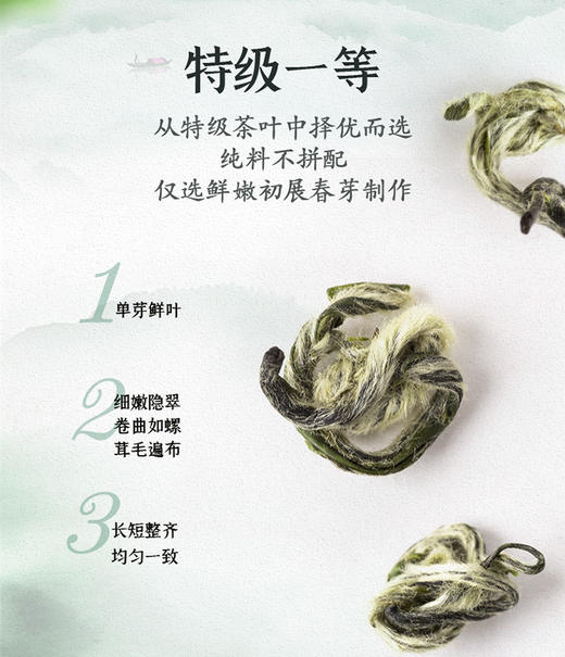 中茶2024春茶 明前  洞庭山  碧螺春绿茶【木盒装80g】特级一等非遗系列 商品图5