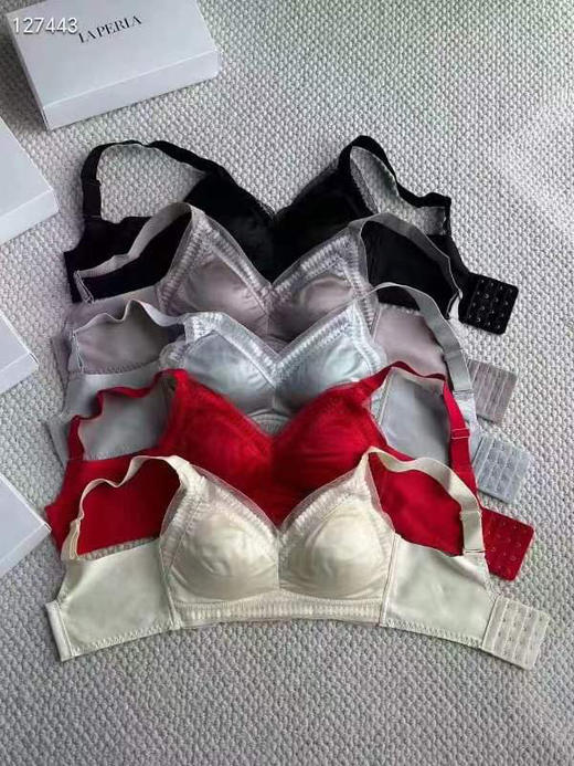 出口原单内衣Laperla桑蚕丝缎面蕾丝 商品图3