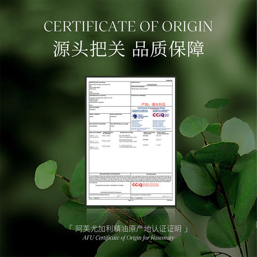 【AFU】阿芙尤加利精油10ml 商品图1