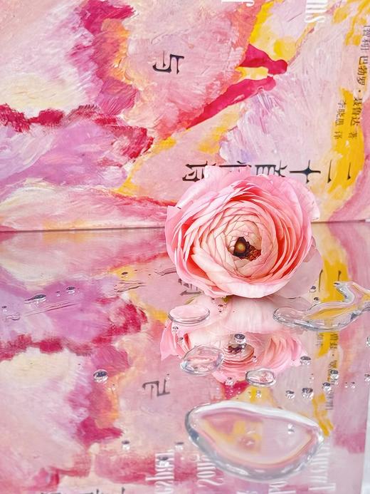 二十首情诗与一首绝望的歌（刷边版） 商品图5