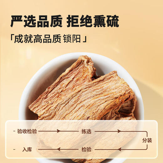 【正宗同仁堂品牌】北京同仁堂锁阳150克 内蒙古锁严选 拒绝熏硫 SY 商品图2