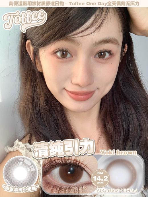 Toffee 少女心事/清纯引力 10片/盒（日抛型） 商品图1