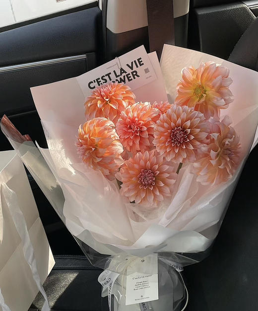 【新花派】大丽花-奶油桃子 约5枝/扎（爆款） 商品图0